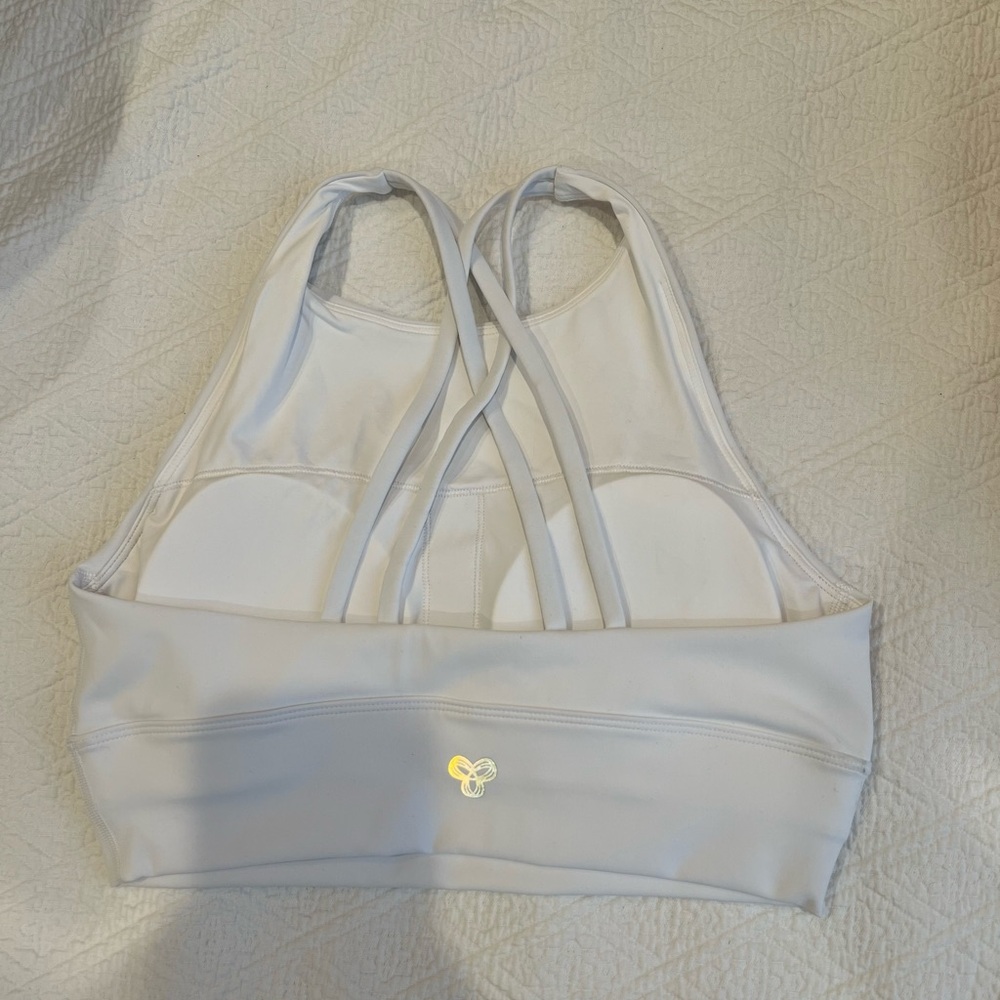 Aritzia Sport Bra